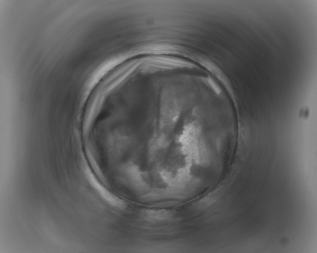 X0000113221429200909241437