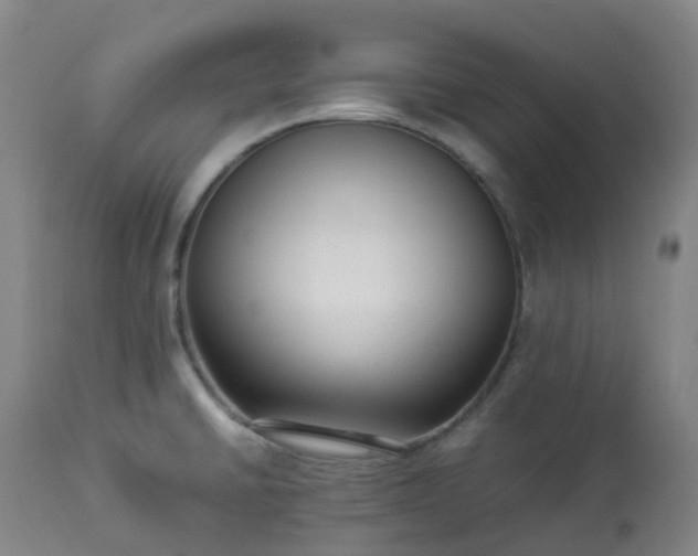 X0000113221430200909241437