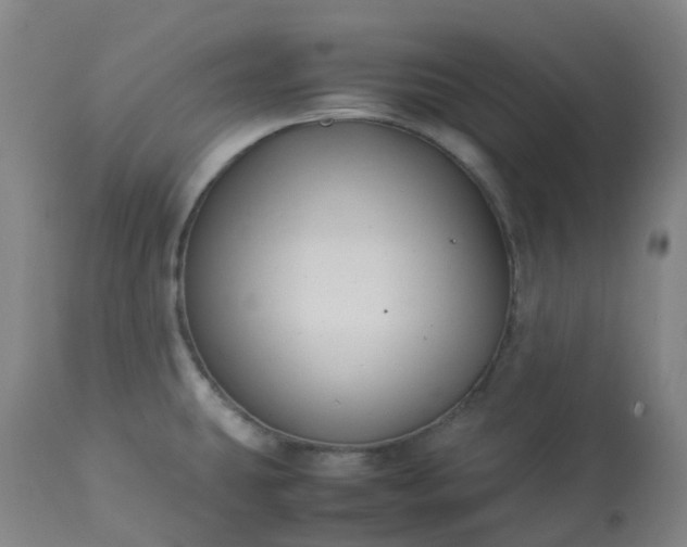 X0000113221431200909241437