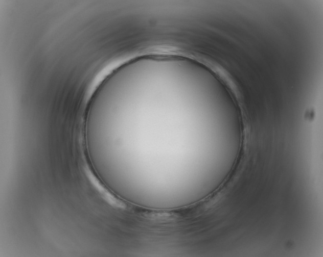 X0000113221432200909241437