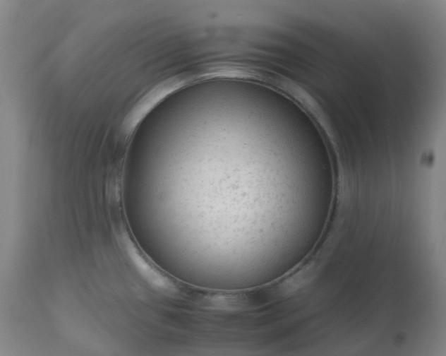 X0000113221433200909241437