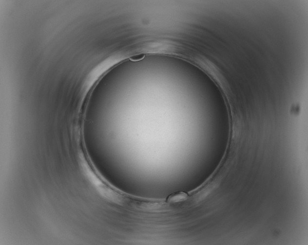 X0000113221434200909241437