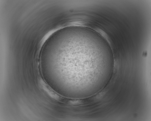 X0000113221435200909241437