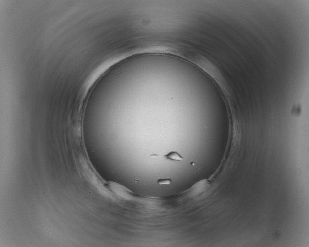 X0000113221436200909241437