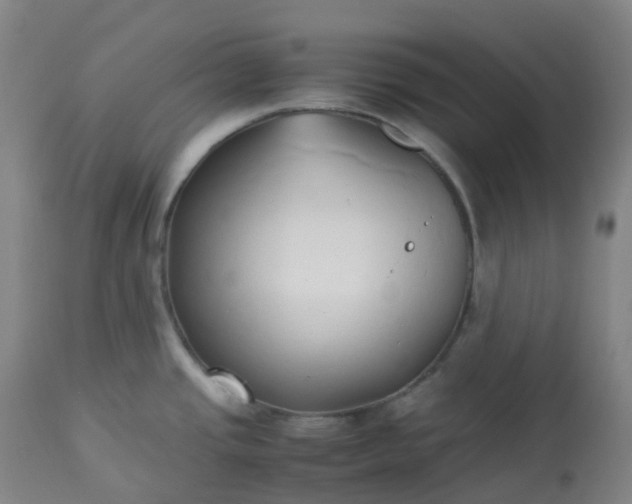 X0000113221437200909241437