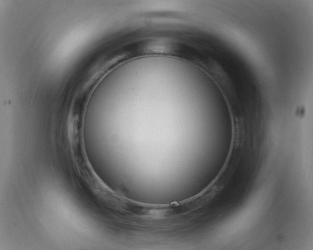 X0000113221438200909241437