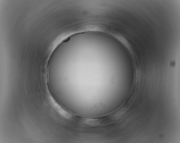 X0000113221439200909241437