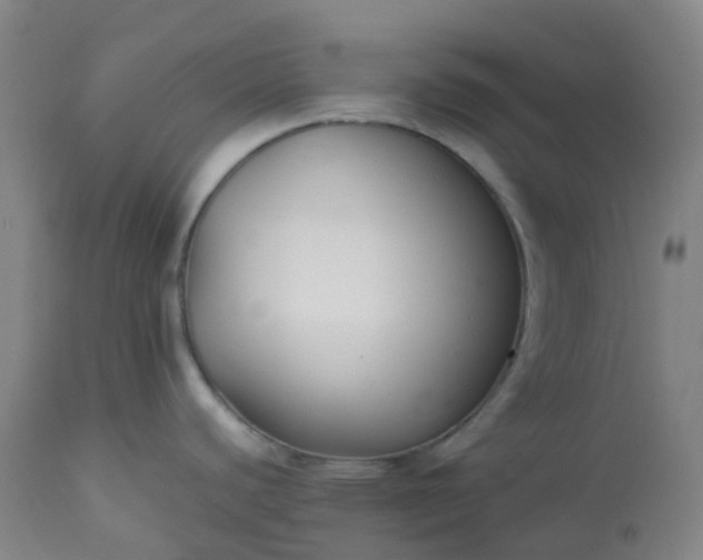 X0000113221440200909241437