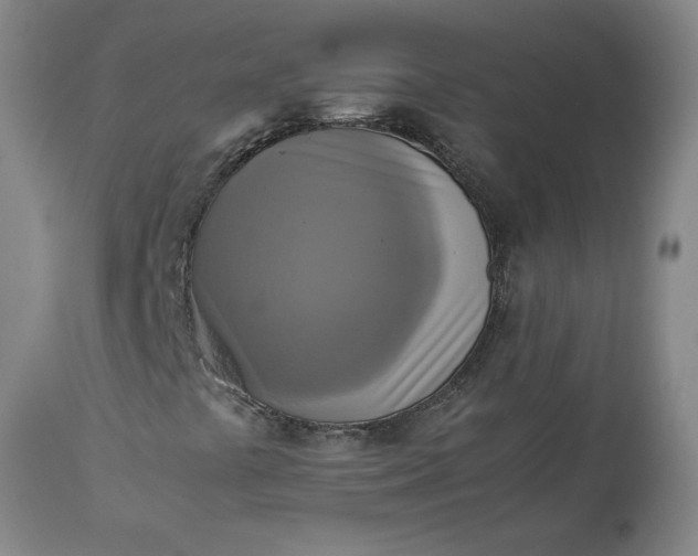 X0000113221441200909241436