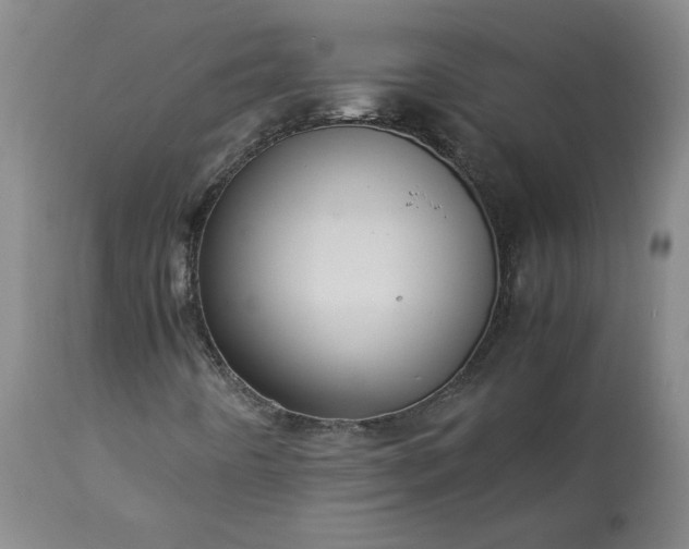 X0000113221442200909241436