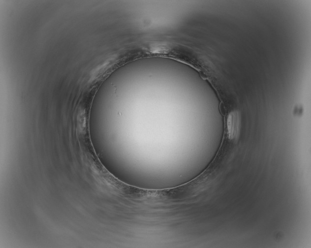 X0000113221443200909241436