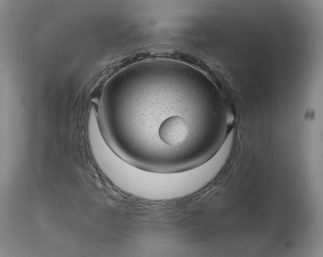 X0000113221445200909241436