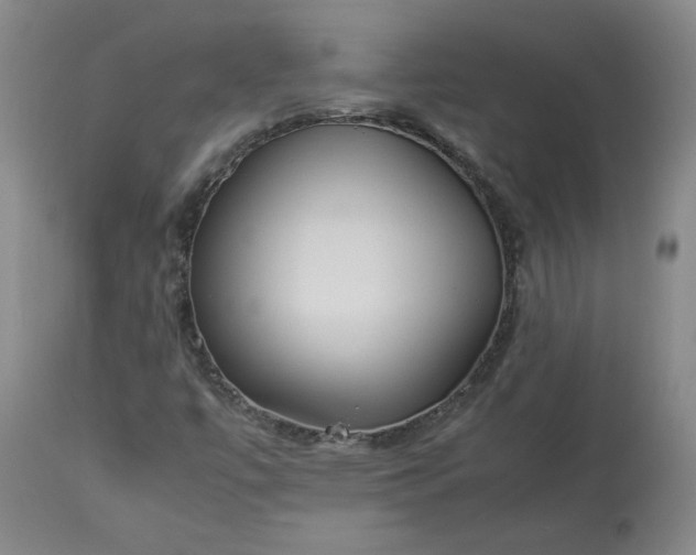 X0000113221447200909241436