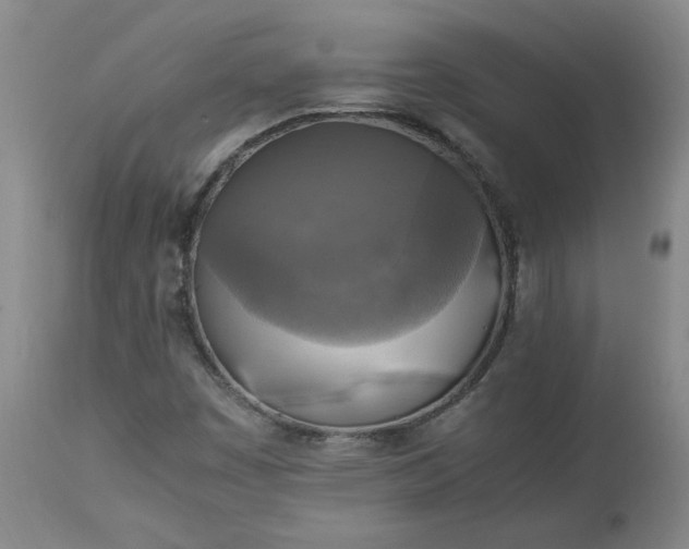 X0000113221449200909241436