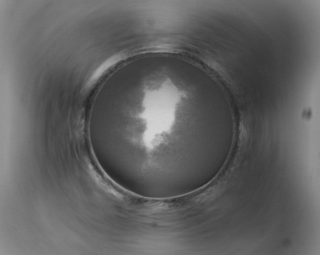 X0000113221450200909241436