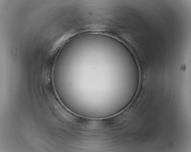 X0000113221451200909241436