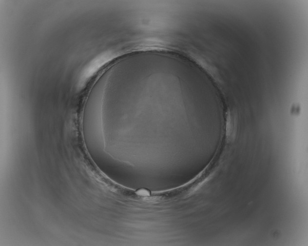 X0000113221453200909241436