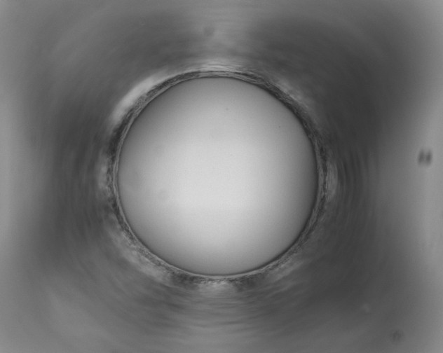 X0000113221454200909241436