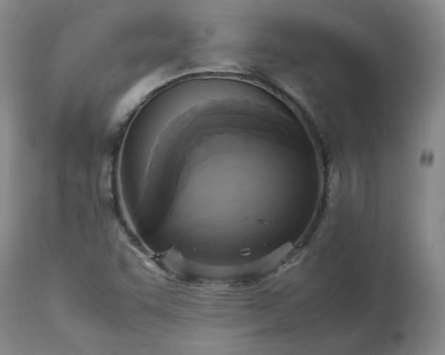 X0000113221455200909241436