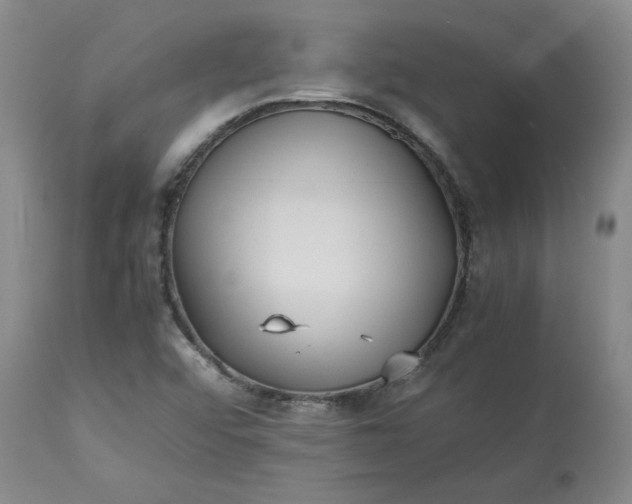 X0000113221456200909241436