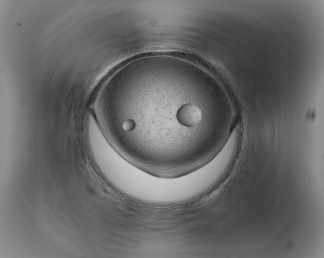 X0000113221457200909241436