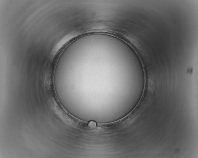 X0000113221458200909241436