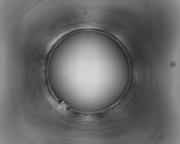 X0000113221460200909241436