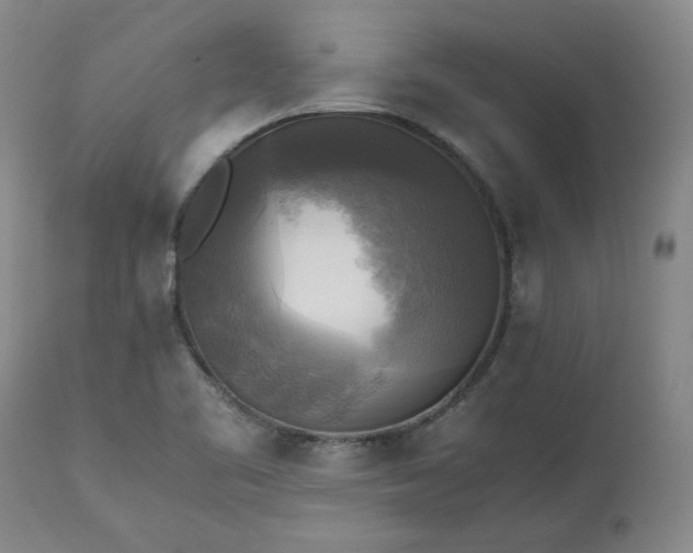 X0000113221461200909241436