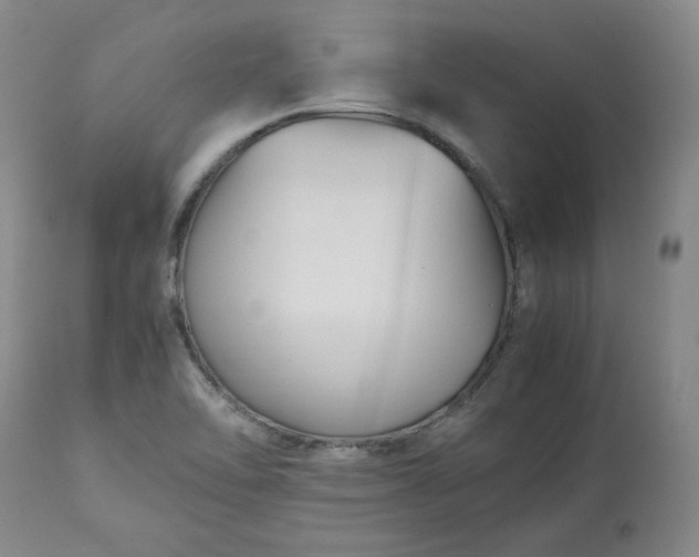 X0000113221462200909241436