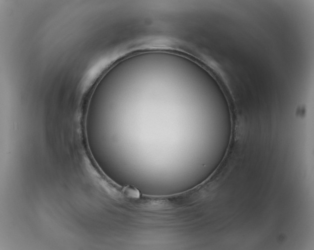 X0000113221464200909241436