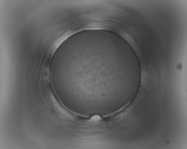 X0000113221465200909241436