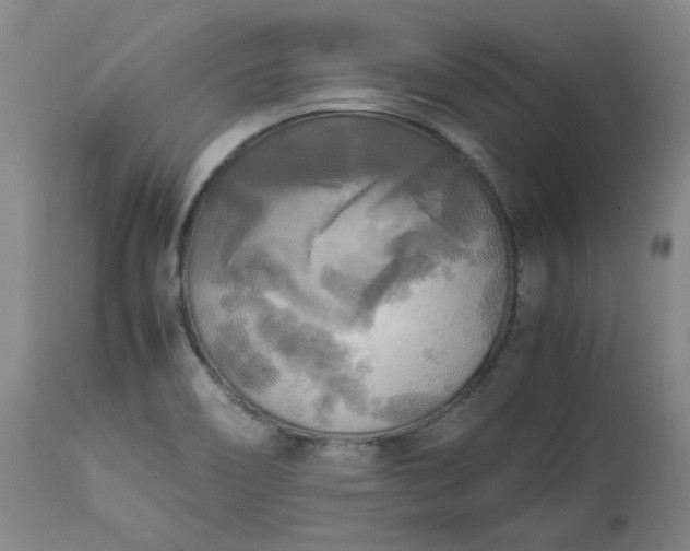 X0000113221466200909241436