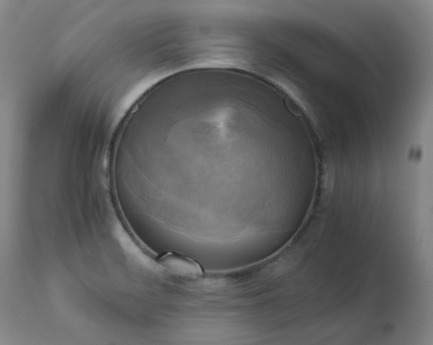 X0000113221468200909241436