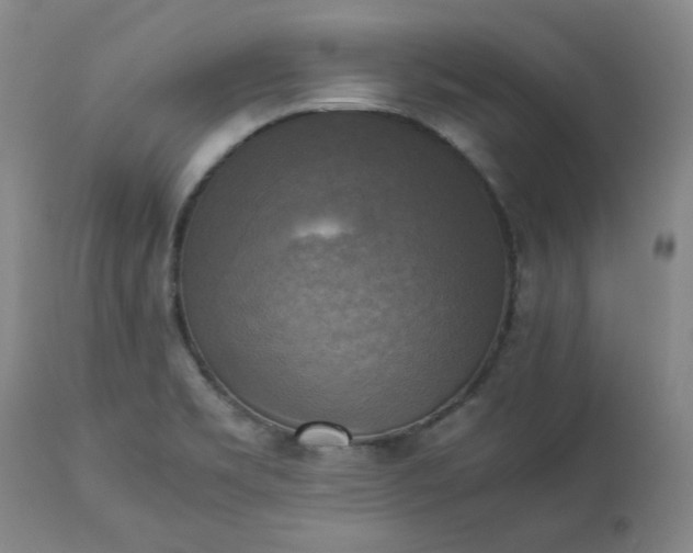 X0000113221469200909241436