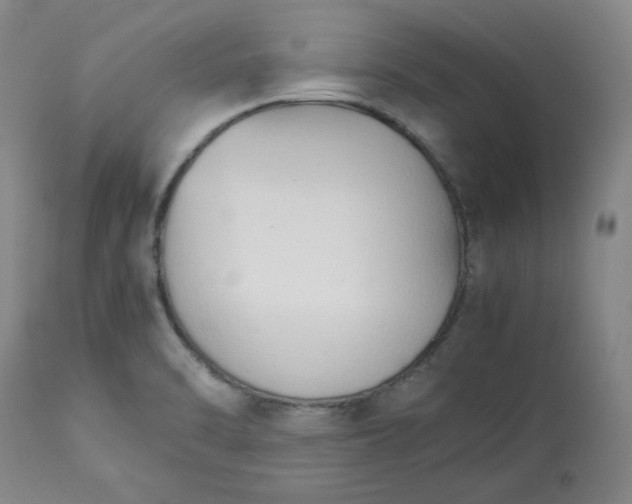 X0000113221470200909241436