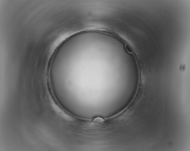 X0000113221471200909241436