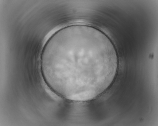 X0000113221474200909241436