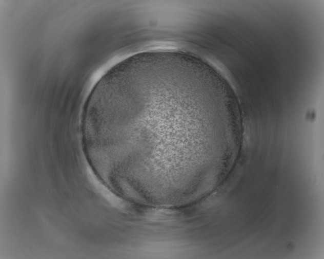 X0000113221475200909241436