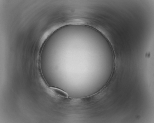 X0000113221477200909241436