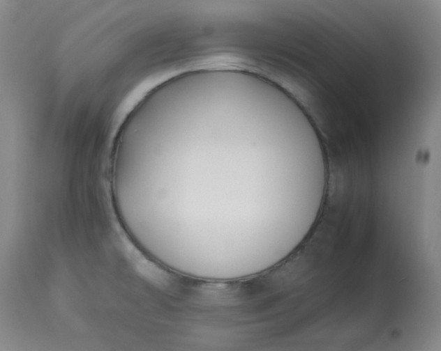 X0000113221478200909241436