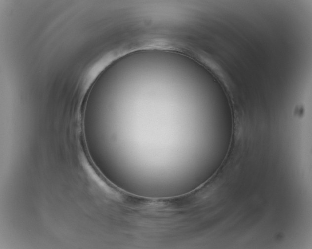 X0000113221479200909241436