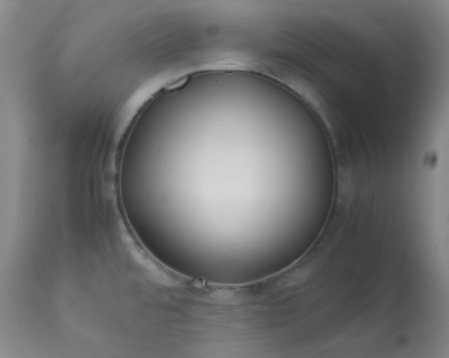 X0000113221480200909241436