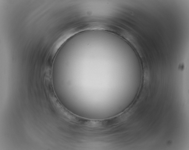 X0000113221481200909241436