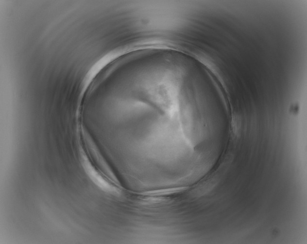 X0000113221482200909241436