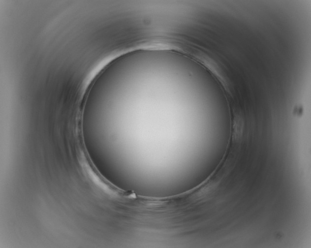 X0000113221484200909241436