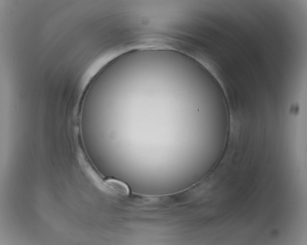 X0000113221485200909241436