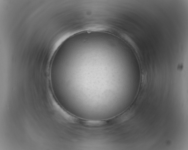 X0000113221487200909241436