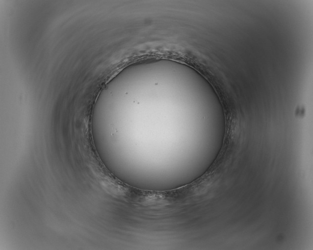 X0000113221489200909241435