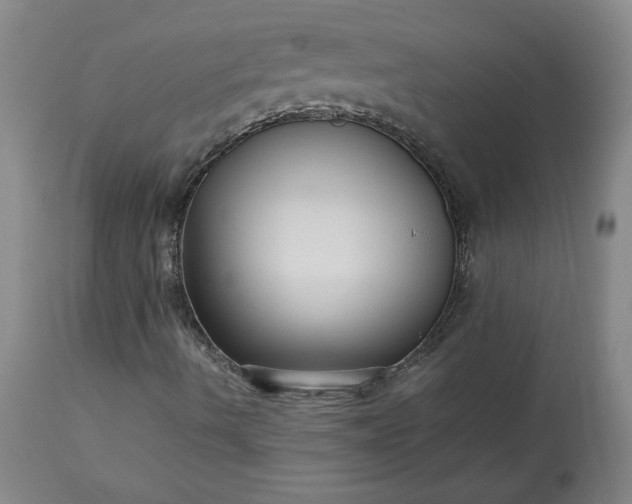 X0000113221490200909241435