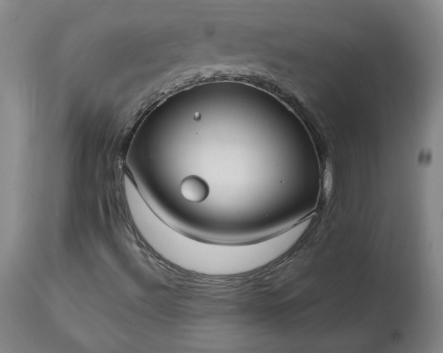 X0000113221492200909241435